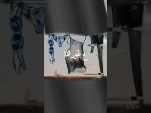 مهرجان دي حبيبتي شايله ضميرها 