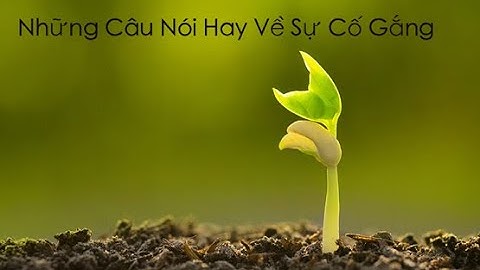 40 câu nói hay giúp tạo động lực vào buổi sáng, truyền cảm hứng