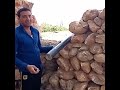 ۱۴ ژوئیه ۲۰۲۱