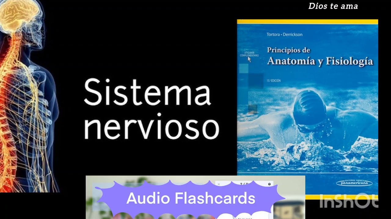 Flashcards Sistema Nervioso Libro Tortora y Derrickson Audio 🙂