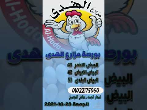 اسعار بيض المائدة بورصة مزارع الهدى للتواصل على رقم 01022175060 ادارة ايهاب سالم