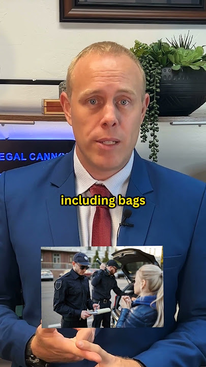 Can Police Search You Just for Being a Passenger?