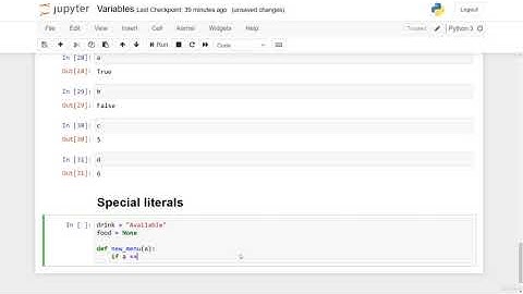 Python programming  Special literals part 14