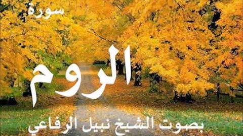 سورة الروم بصوت الشيخ نبيل الرفاعي
