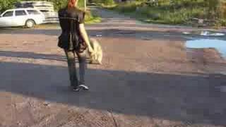 Miklos PON ja rulla - Miklos PON and bringsel, 1