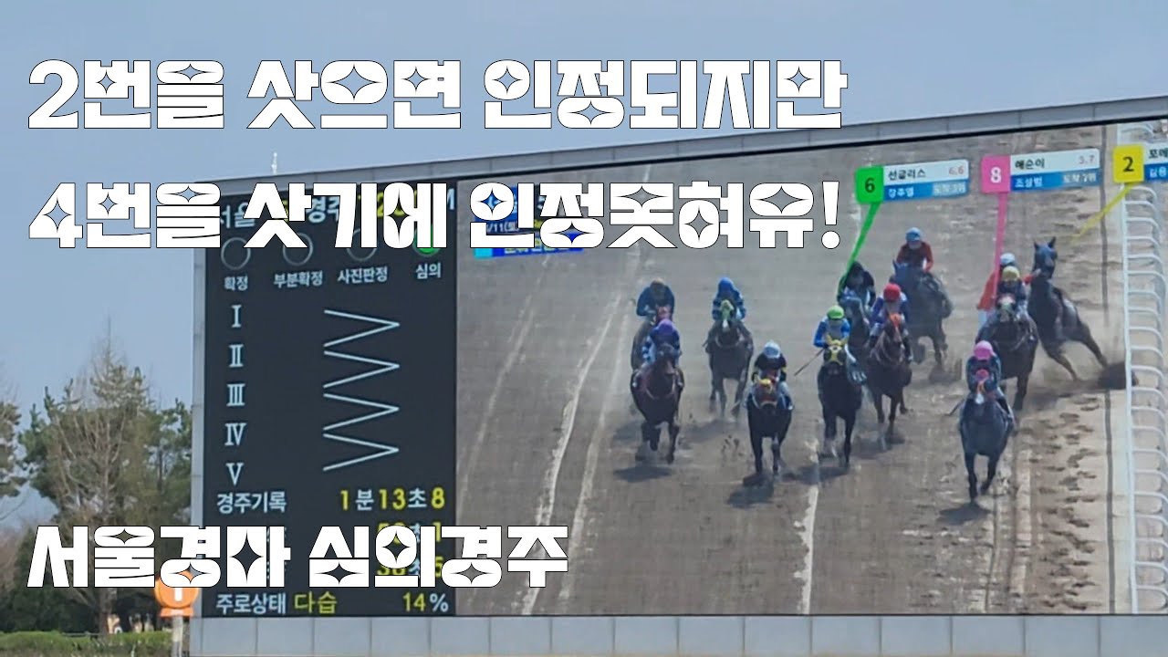 이게 말이되냔 말이야! 말이야!(서울경마 심의경주 하이라이트)