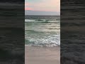 Gulf Beauty