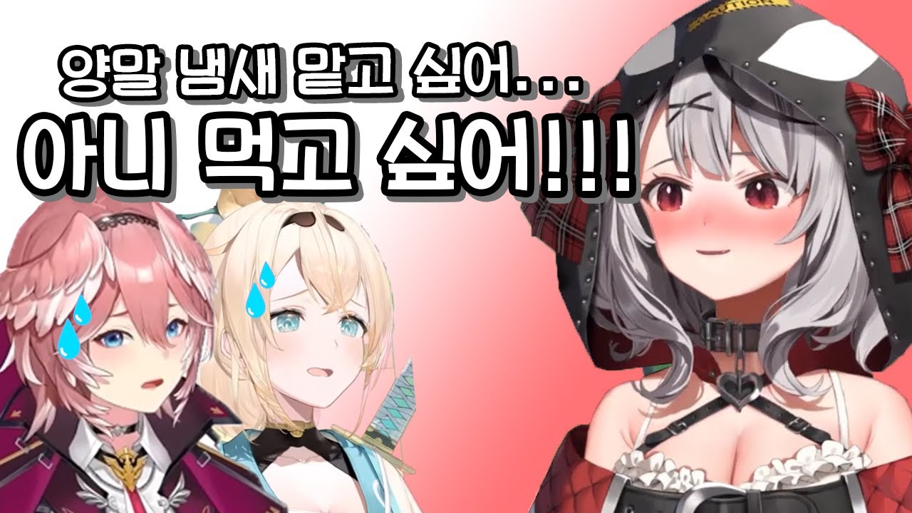 동기의 양말이 먹고 싶은 범고래 [사카마타 클로에] [타카네 루이] [홀로라이브]