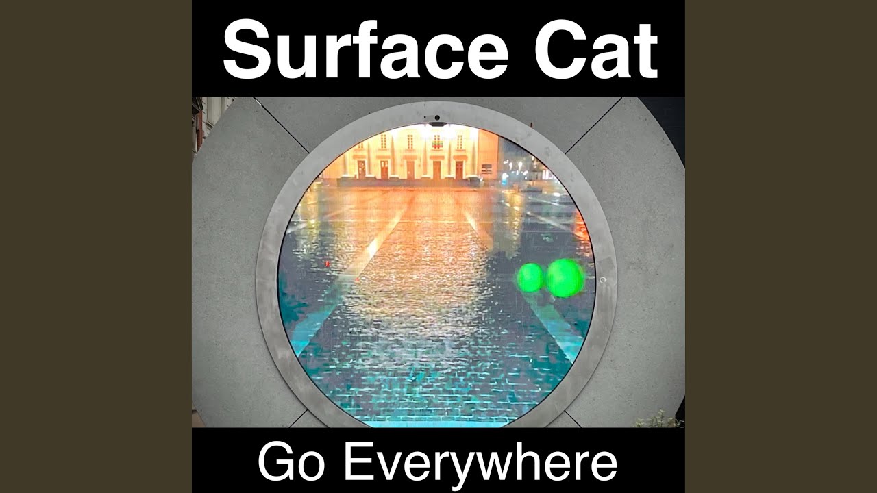 Surface Cat - Go Everywhere