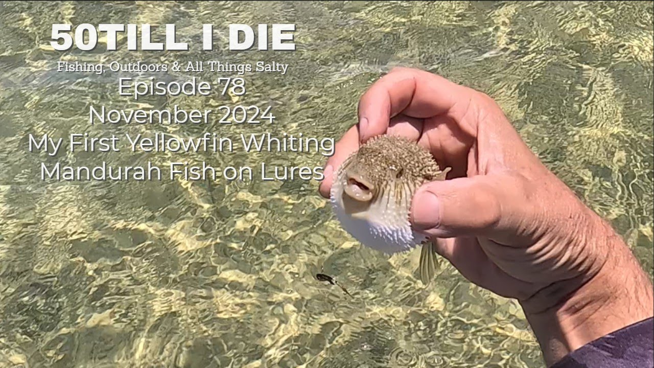 Episode 78 Whiting on Lures In Mandurah