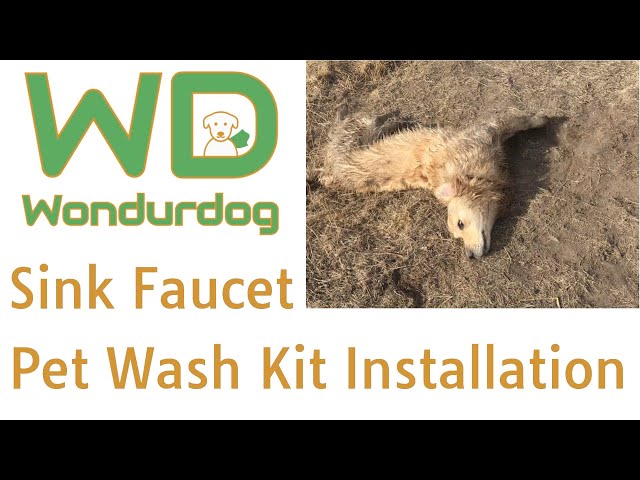 Wondurdog Sink Faucet Pet Wash Kit