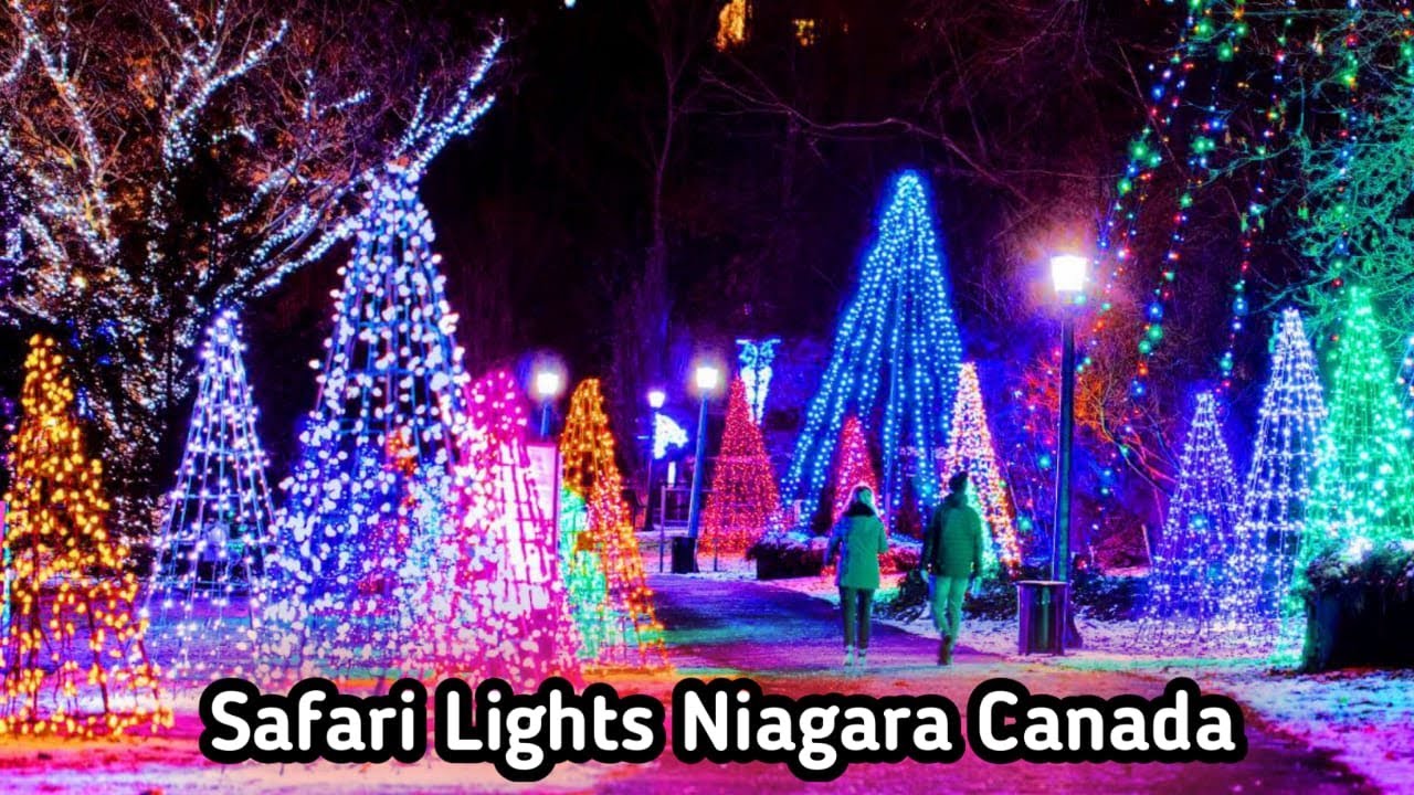 safari lights niagara