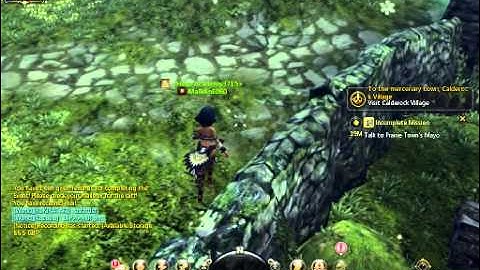 dragon nest town bug :b