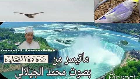 ماتيسر من القرآن الكريم بصوت القارئ الشيخ محمد الجيلالي تلاوة خاشعة ماشاءالله