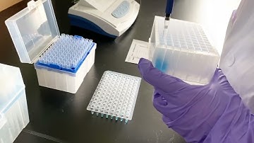 how to use single channel pipette?