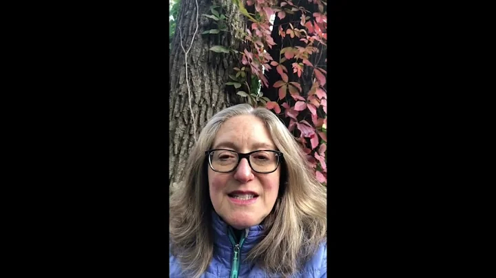 The Rev'd Dr. Deborah Meister on Loving God and Lo...