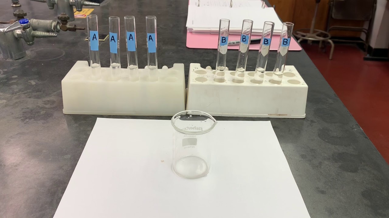 Reaction Rates Effect of Temperature - YouTube