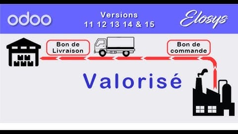 odoo Elosys  - Bon de Livraison Valorisé