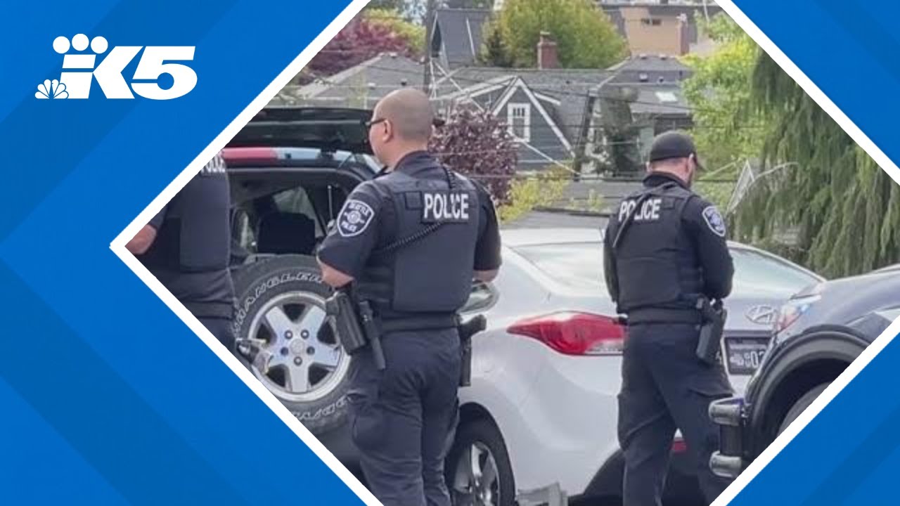 5 juveniles, some as young as 12, arrested after car thefts, police ...