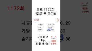 로또 1172회 로또 꿈 복기!! #당첨돼지