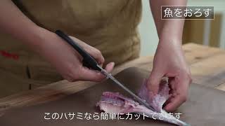 【ディテール動画】関孫六