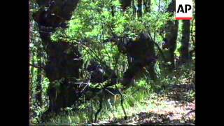 Bosnia Sarajevo Road Strategically Cut By Bosnian Government