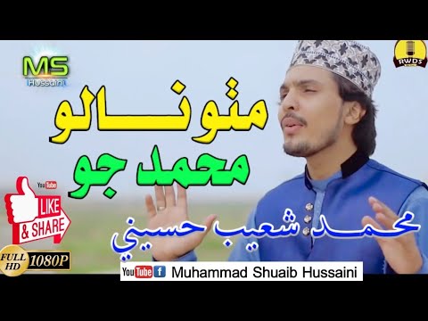 Muhammad Shoaib Hussaini New Sindhi Naat 2019