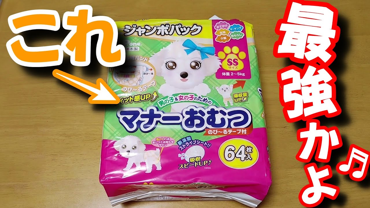 【マナーおむつ】これ！最強すぎます♬ コスパ最強♬（トイプードル/おばあちゃん犬/老犬/介護犬/マナーパンツ）