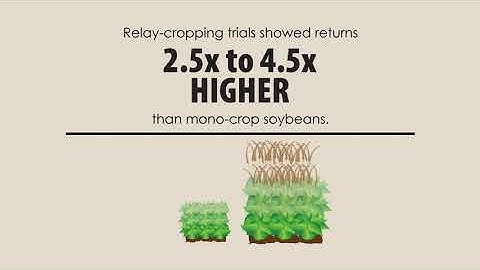 About Multi-Cropping!