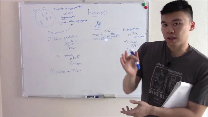 USMLE Hematology and Oncology 15 Introduction to Hemostasis: Platelets