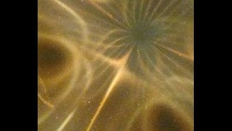 VIDEO 54 Uncovering the Missing Secrets of Magnetism. FASCINATING UNIQUE MAG-DIELECTRIC PATTERNS