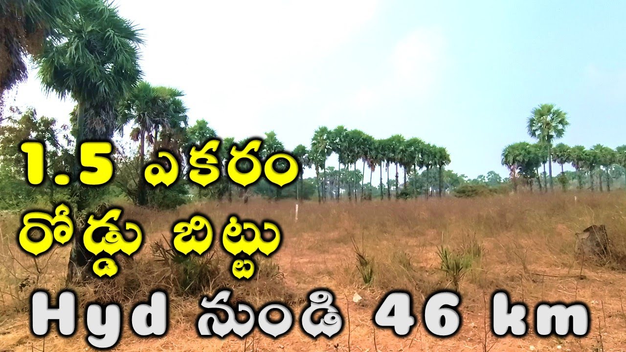 1.5 ఎకరాలు రోడ్డు బిట్టు తక్కువ ధరలో Agriculture Lands for Sale in Telangana