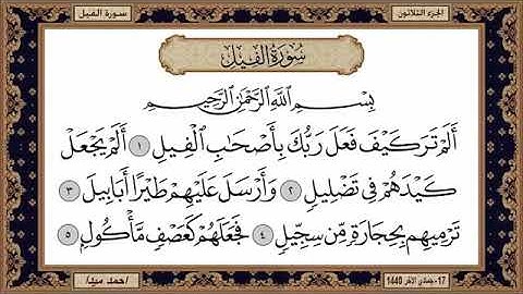 سورة الفيل، مكتوبة، حسن صالح، بدون اعلانات