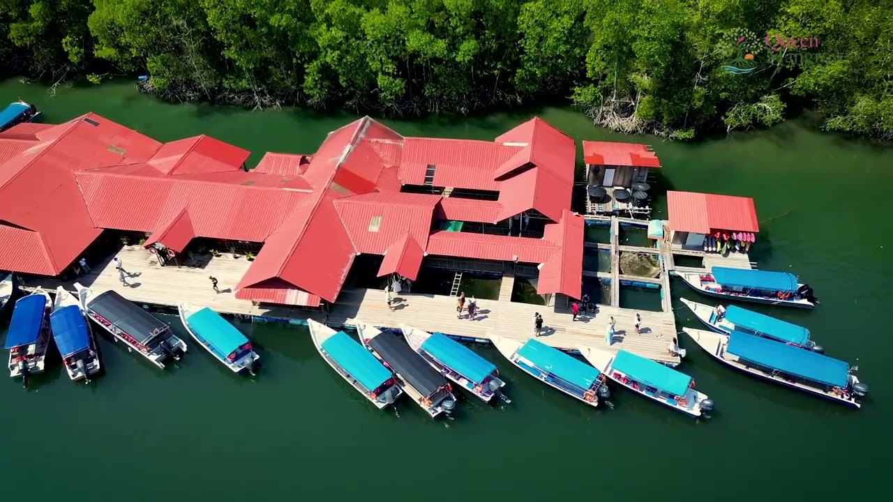 Queen Mangrove Langkawi | Best Mangrove Boat Tour in Langkawi