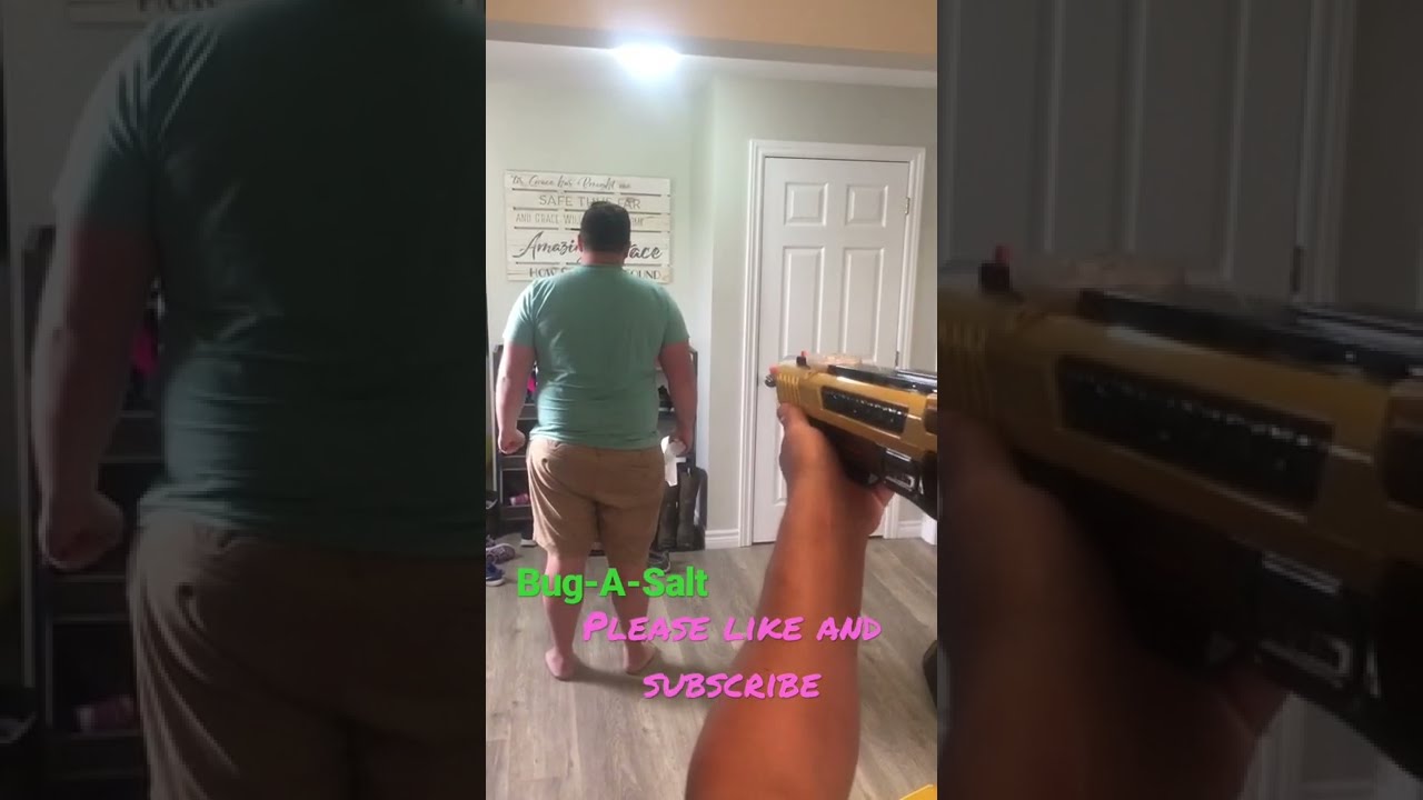 NEW Bug A Salt Test In Action Four Feet And Three Distance Gun 