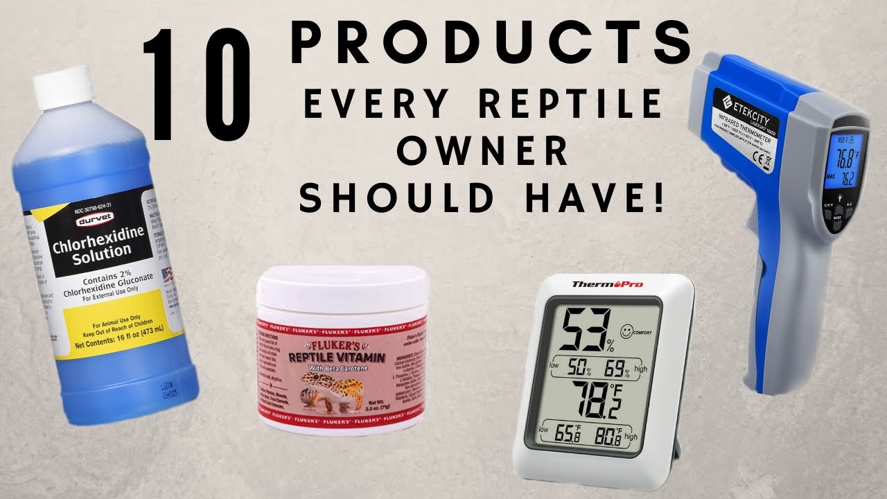 chlorhexidine solution for reptiles