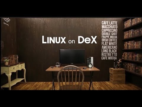 Linux on Dex에서 무엇이 되고 무엇이 안 되나요? (하드웨어, 패키지, 게임 구동 확인)