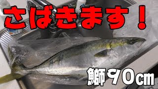 【さばきます】魚初心者が鰤（ブリ）をさばくとこうなります