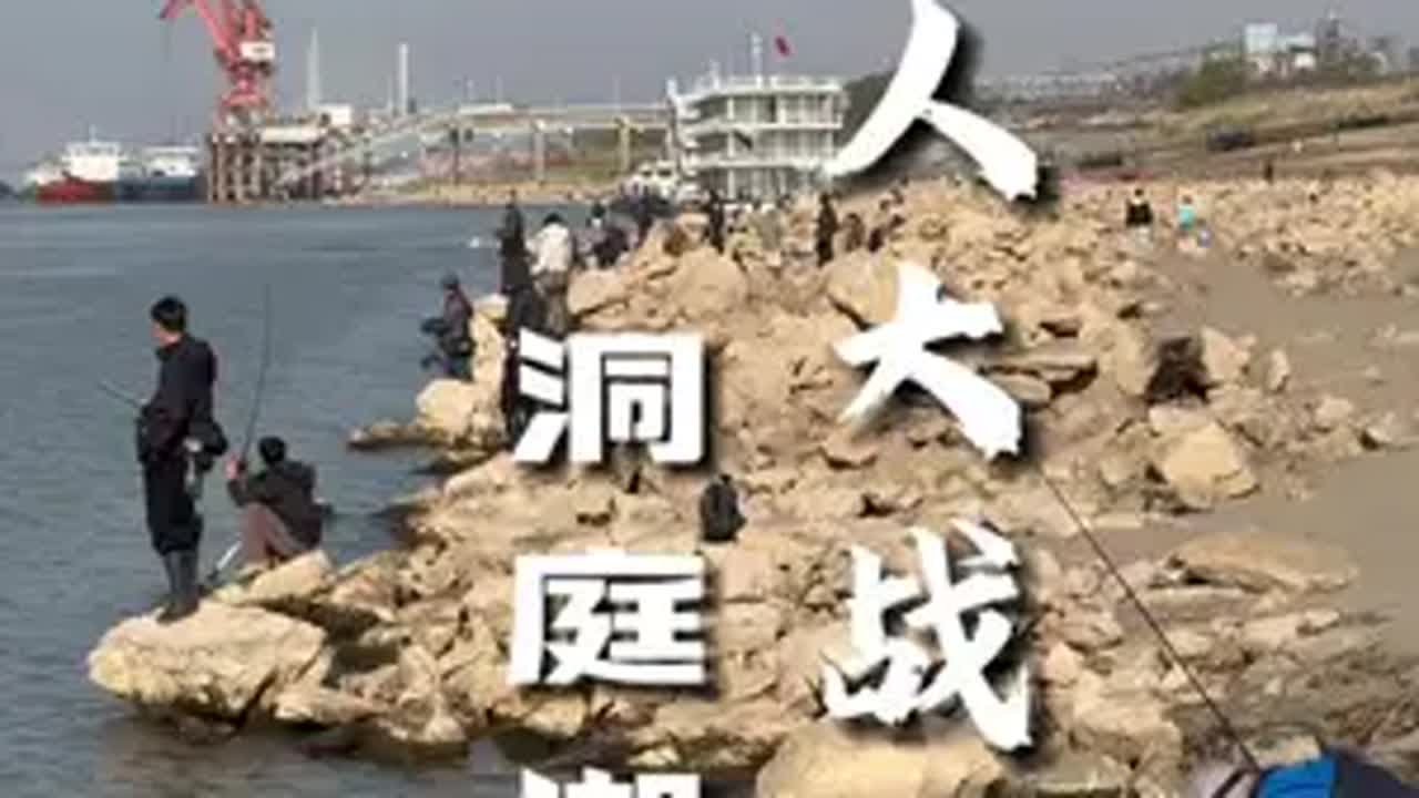 听说这里的打龟率涨到了 98% ? 路亚野钓 野钓技巧 渔具用品推荐 钓鱼人 洞庭湖 - YouTube