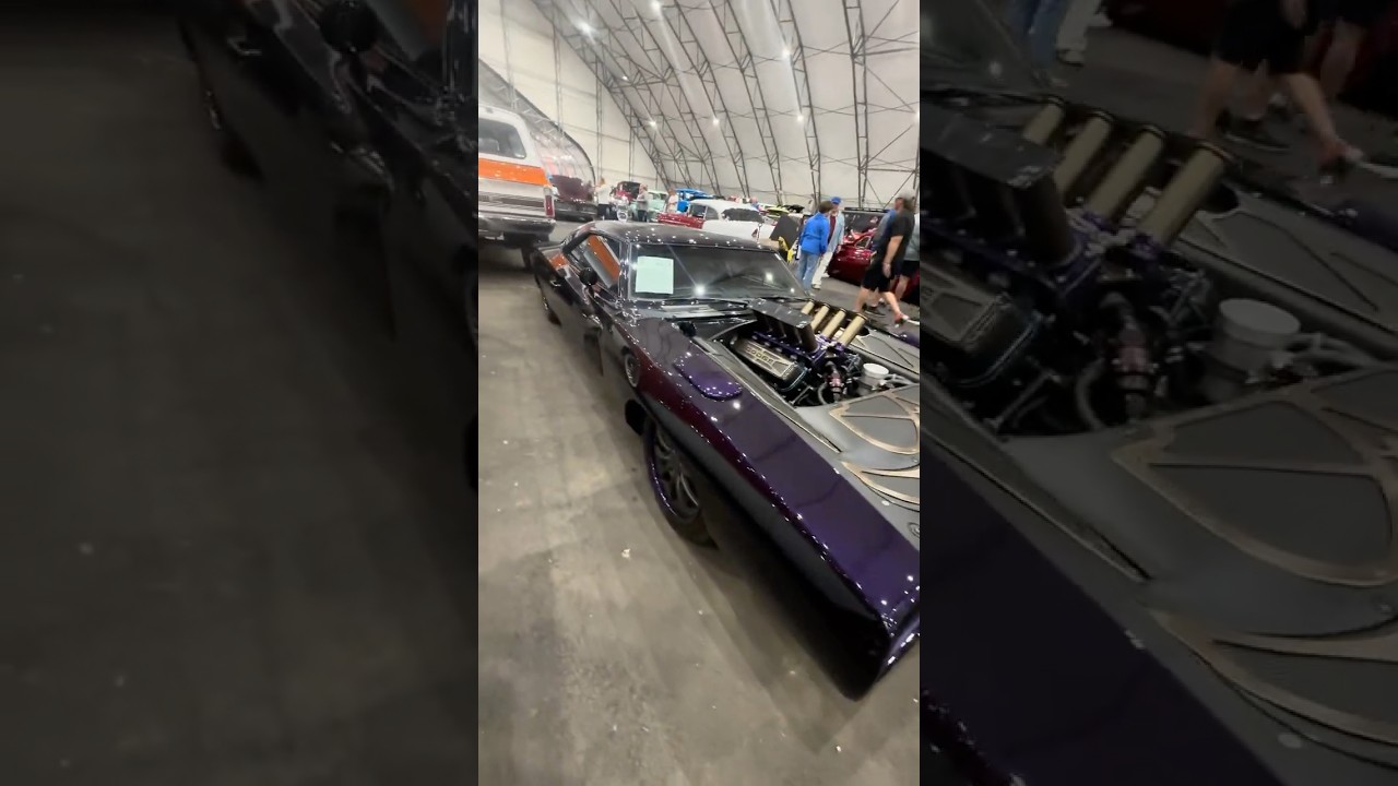 Прекрасный фиолетовый Charger сливового цвета! 