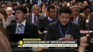 Climate emergency: More than 11,000 scientists globally declare climate emergency