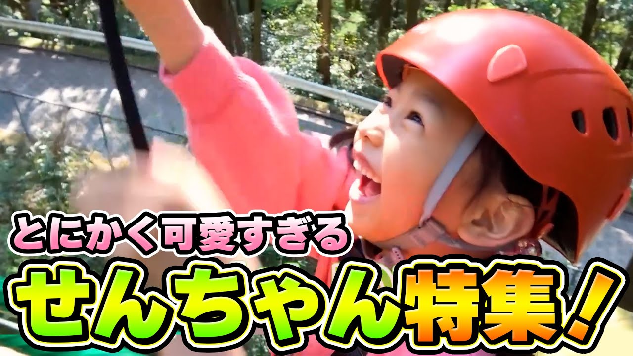 【切り抜き】癒されたい人必見!可愛すぎるせんちゃん特集!