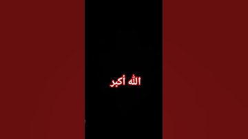 #محمد_صديق_المنشاوي #قران_بصوت_جميل #قرآن #سورة_القصص #المنشاوي #المنشاوي_الباكي #قناة_مبهر #اكسبلور