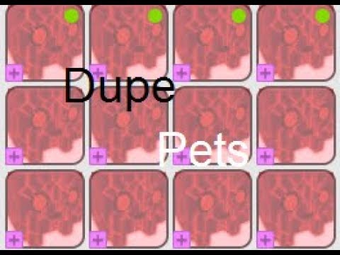 New Duplicate Pets Glitch Pet Simulator Roblox Youtube - new duplicate pets glitch pet simulator roblox