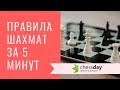 Основные правила шахмат за 5 минут! Видео для начинающих.