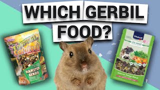 Gerbil Diet: Comparing Gerbil Foods