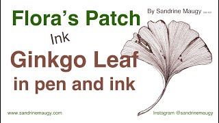 Ink tutorial: Ginkgo leaf