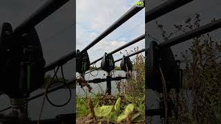 Carp Take On Cam #carp #carpfishing #carpfish #fishing #fishingequipment #fishingvideo #hindersbait