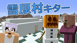 【カズクラ】雪原に村作ってみた！マイクラ実況 PART568