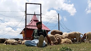 Bawa Scene Kya Hai Yar Risel Official Rap Video